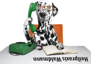 Vielen Dank!